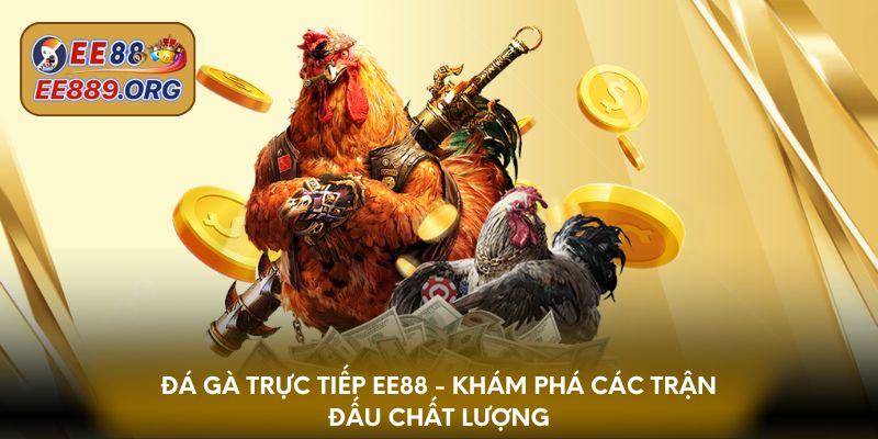 Đá gà trực tiếp EE88 - Khám phá các trận đấu chất lượng 