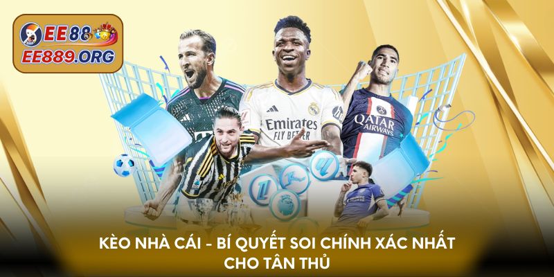 Kèo nhà cái - Bí quyết soi chính xác nhất cho tân thủ