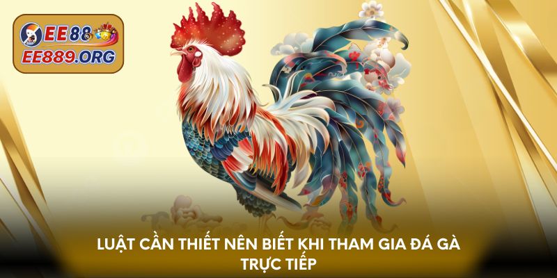 Luật cần thiết nên biết khi tham gia đá gà trực tiếp