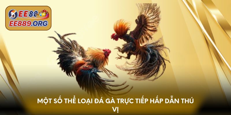 Một số thể loại đá gà trực tiếp hấp dẫn thú vị