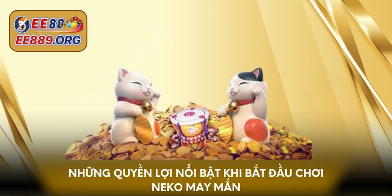 Những quyền lợi nổi bật khi bắt đầu chơi Neko may mắn
