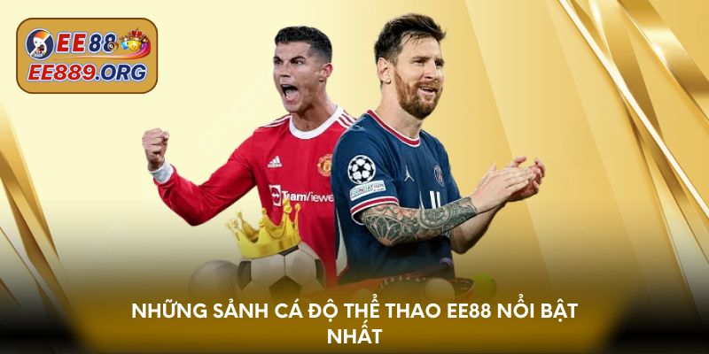 Những sảnh cá độ thể thao EE88 nổi bật nhất