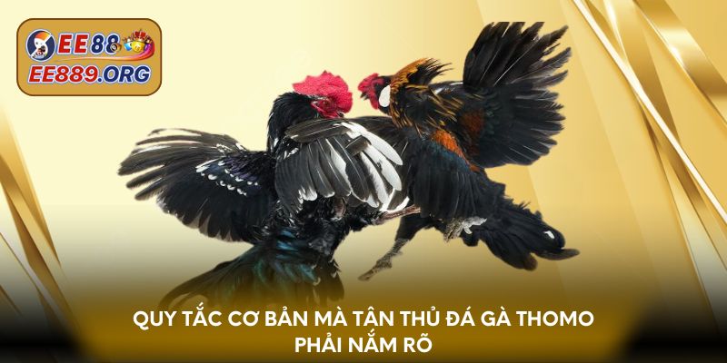 Quy tắc cơ bản mà tân thủ đá gà thomo phải nắm rõ