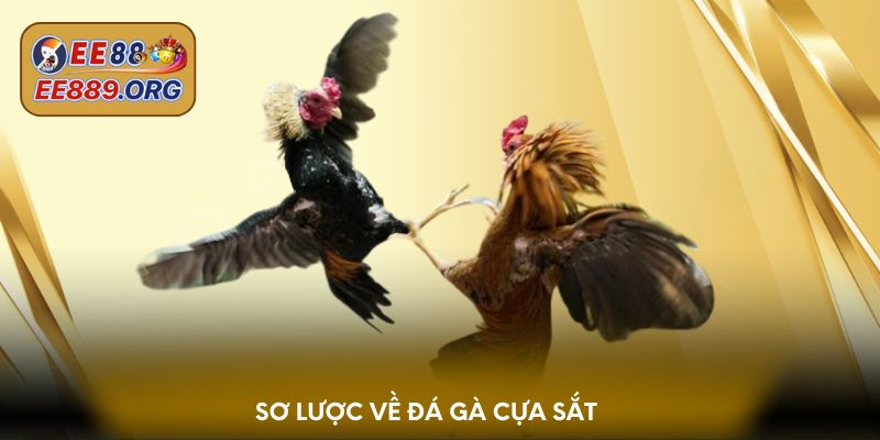Sơ lược về đá gà cựa sắt