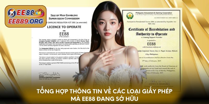 Tổng hợp thông tin về các loại giấy phép mà EE88 đang sở hữu